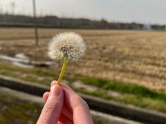 -嘉北郊野公园