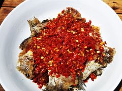 -田小狗的饭店(碧桂园店)
