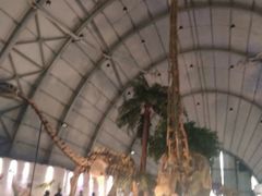 -辽宁古生物博物馆