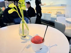 -BLACKSWAN黑天鹅(环球店)