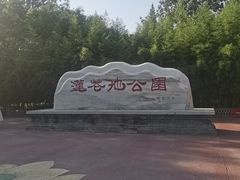 -莲花池公园
