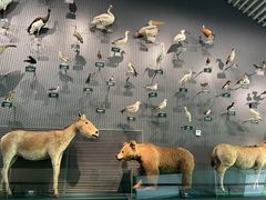 -中国湿地博物馆