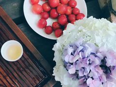 -三圣花乡旅游区