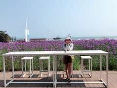 -猫的天空之城概念书店(北戴河蔚蓝海岸店)