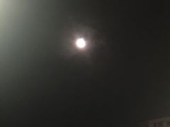 -野狸岛