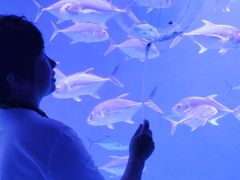 -波塞冬旅游度假区