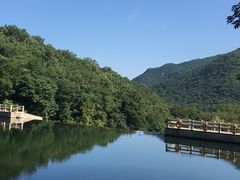 -龙道沟景区