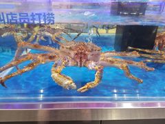 -盒马X会员店(王府井奥莱UP TOWN店)