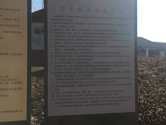 -长兴太湖图影湿地文化园