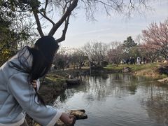 -无锡梅园公园