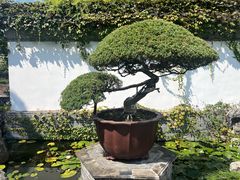 -水绘园