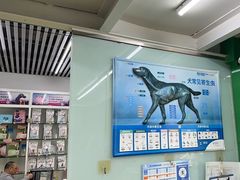 -瑞派动物医院·猫专科·至诚(江南中分院)