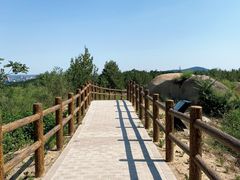 -白水寺森林公园