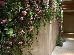 -浅深(北京北四环精品店)