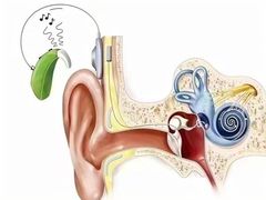 -自然之声助听器·呼吸机(和平店)