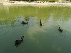 -芭东小镇温泉