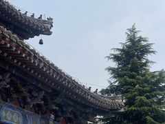 -洛阳白马寺
