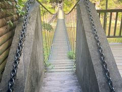 -九鲤湖风景区