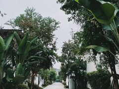 -成都院坝精品私汤民宿酒店