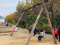 -静之湖湖畔餐厅