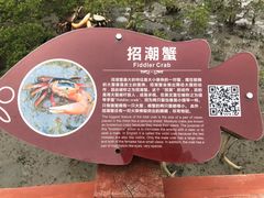 -北海金海湾红树林生态旅游区