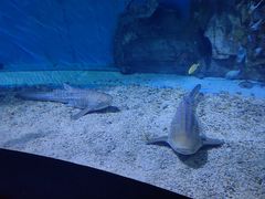 -泉城欧乐堡海洋极地世界