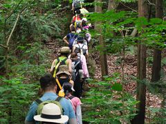 -素山寺森林公园