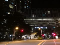 -新加坡柏薇罗切斯特酒店