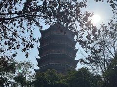 -北寺塔