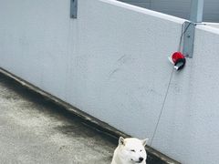 -大通公园