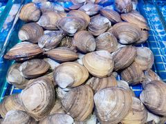 -青蓬蒸汽海鲜·深圳老字号·团建聚会(壹方城店)