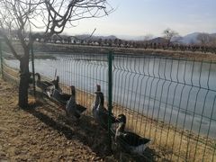 景点-十三陵水库