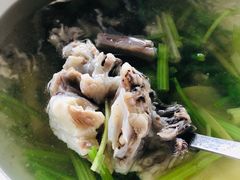 -陈岱后山窑鸡店