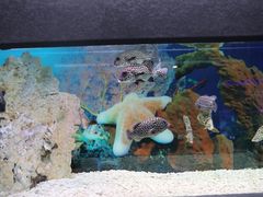 -乌鲁木齐海洋馆