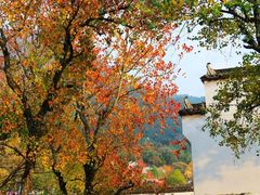 -塔川景区