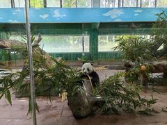 -广州动物园