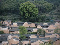 -杨家堂村