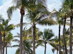 -三亚西岛海洋文化旅游区