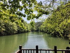-青龙山国家森林公园