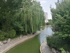 -团结湖公园