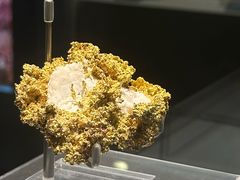 -安徽省地质博物馆