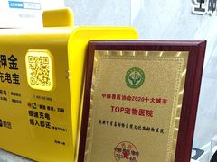 -半岛宠物医院24小时(白果林店)