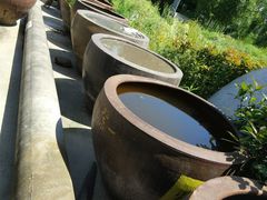 -鄞州雪菜博物馆