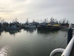 -Steveston Pizza Company (Richmond)