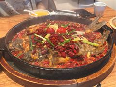 -老板恋上鱼(恒隆广场店)