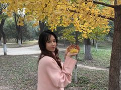 -庞各庄翠芳园西瓜蔬菜基地采摘园