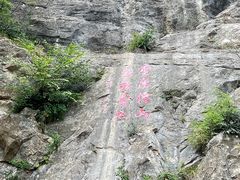 -圣莲山风景区