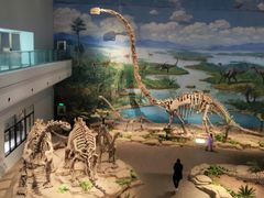 -自贡恐龙博物馆