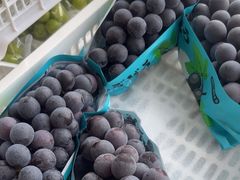 -马陆小张葡萄园农家乐