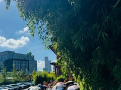 -龙华素斋(龙华路店)